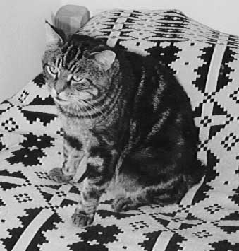 Superbly camouflaged against predators who see in black and white